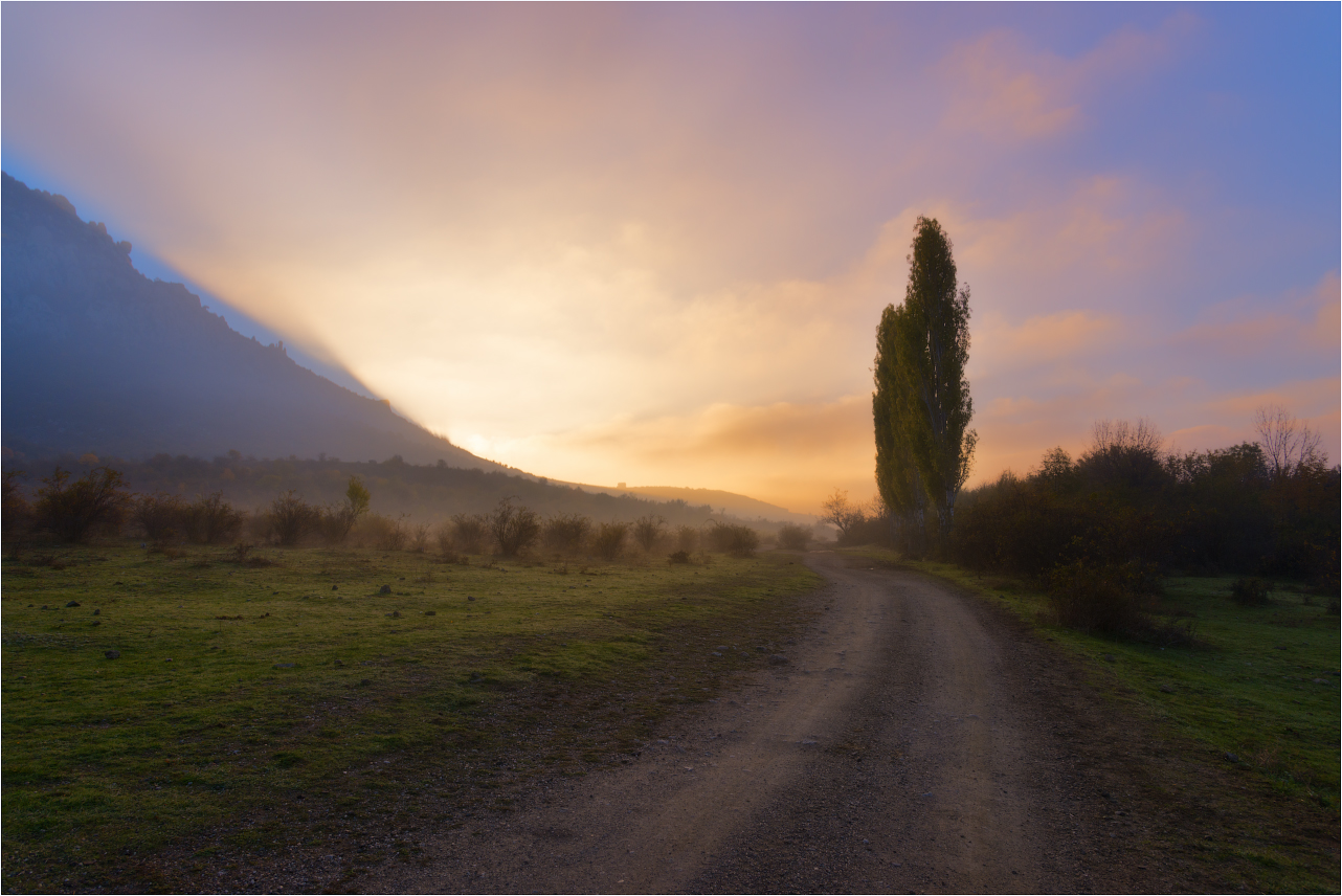 photo "***" tags: travel, nature, landscape, Crimea, Russia, autumn, fog, morning, mountains, sky, tree, демерджи