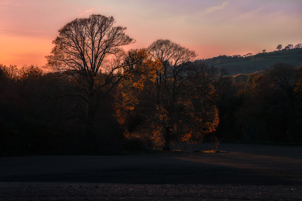 photo "Evening fire" tags: landscape, nature, 