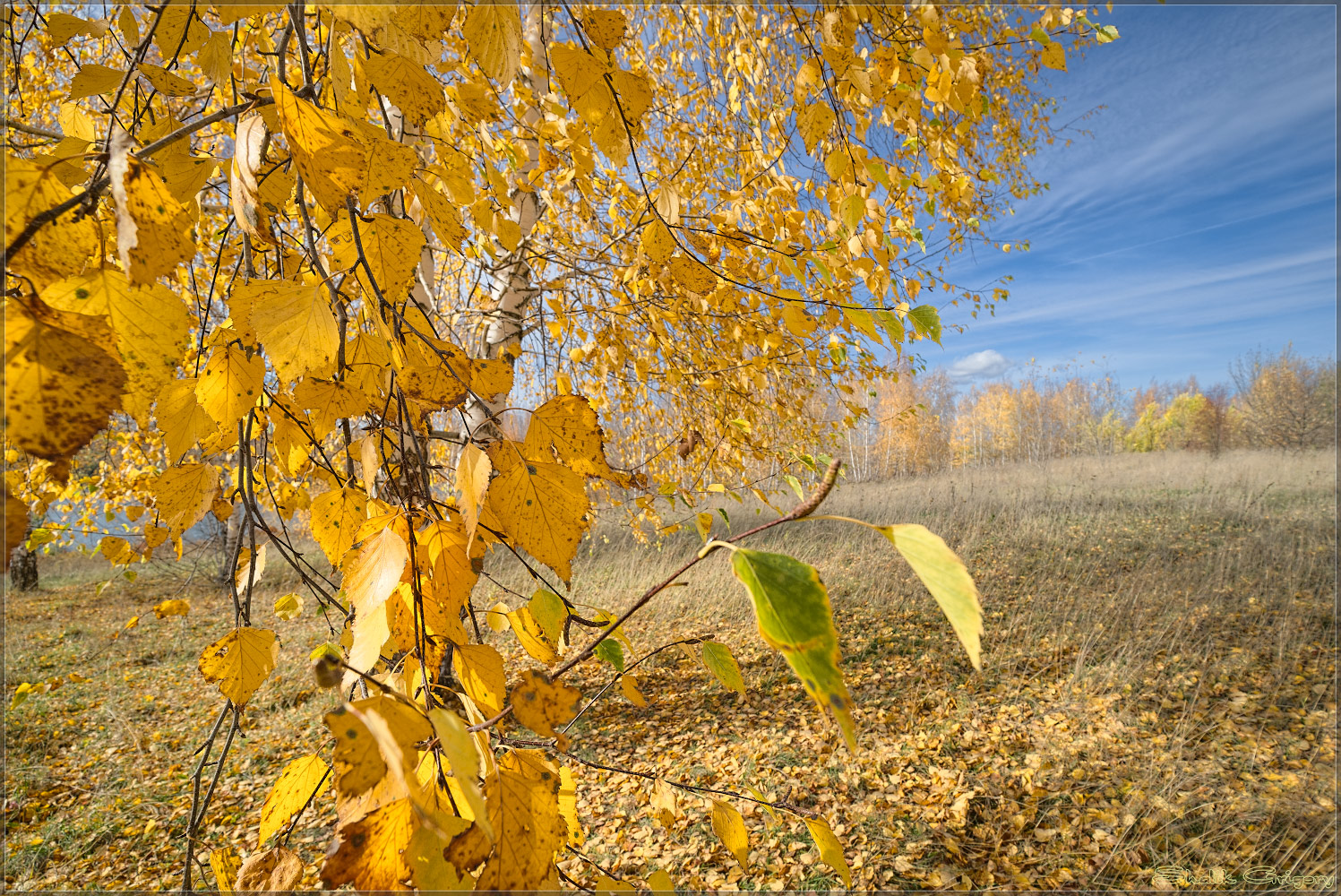 photo "***" tags: landscape, autumn, colour, ветер