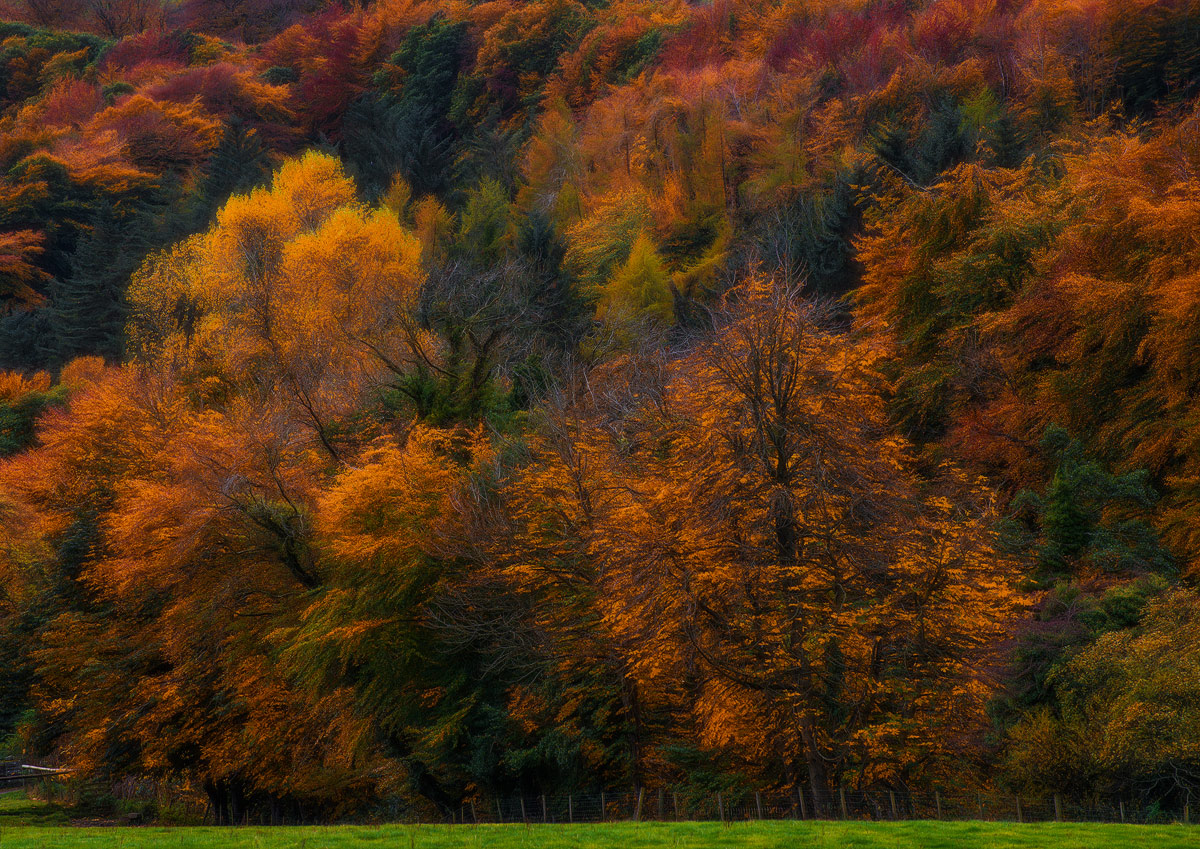 photo "Circus" tags: landscape, nature, 