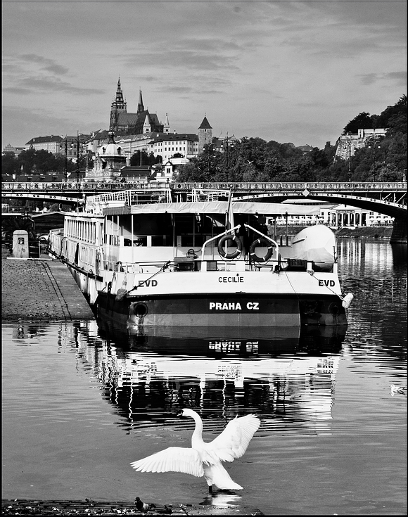 photo "У Влтавы" tags: black&white, Prag, Prague, Praha