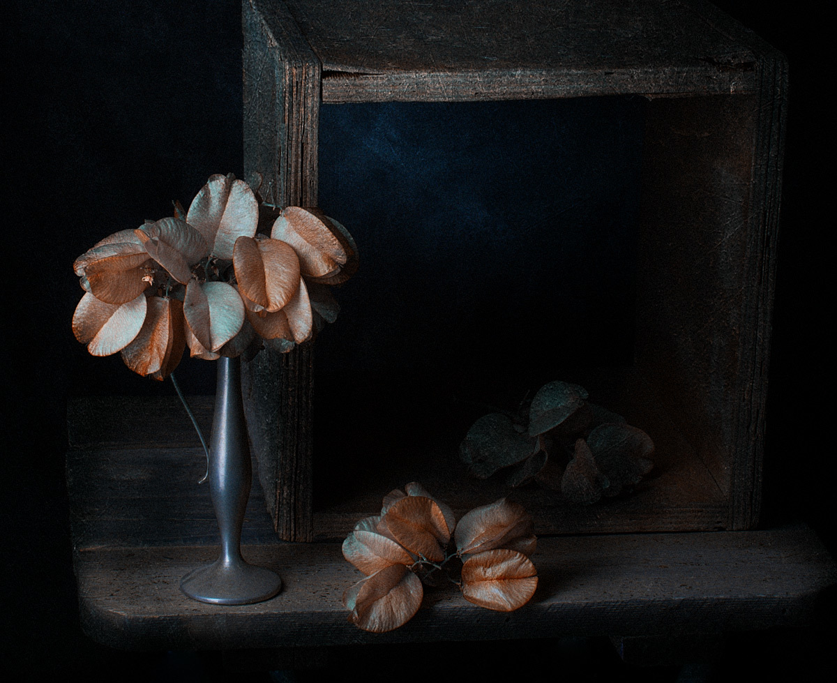 photo "About the vase" tags: still life, old-time, Про вазу