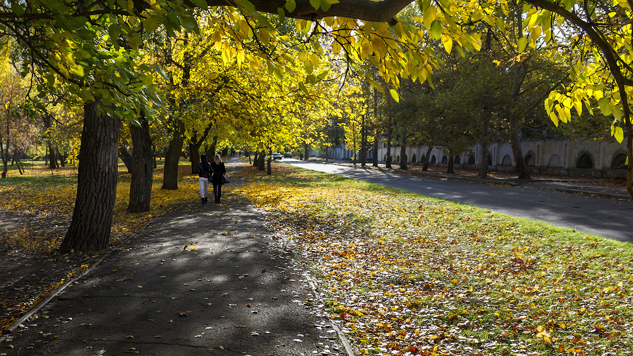 photo "***" tags: street, 