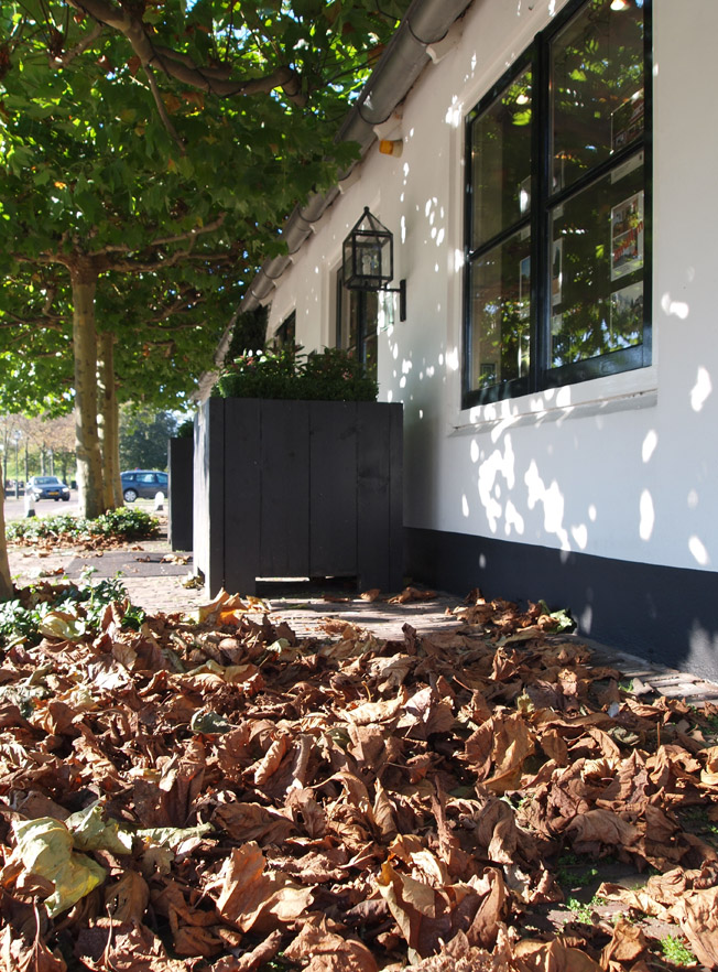 photo "autumn" tags: street, 