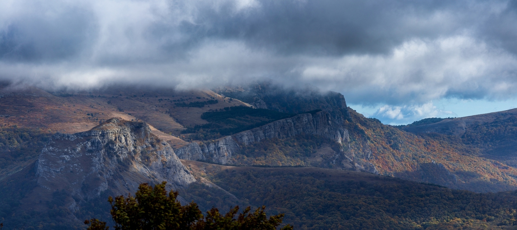 photo "***" tags: landscape, Crimea, Minolta AF 24-105 mm, Russia, Tokina 11-16mm, autumn, clouds, curier, f/ 2.8, morning, sony alpha dslr-a580, Тисовая аллея, Чатыр-Даг, растения, фототур