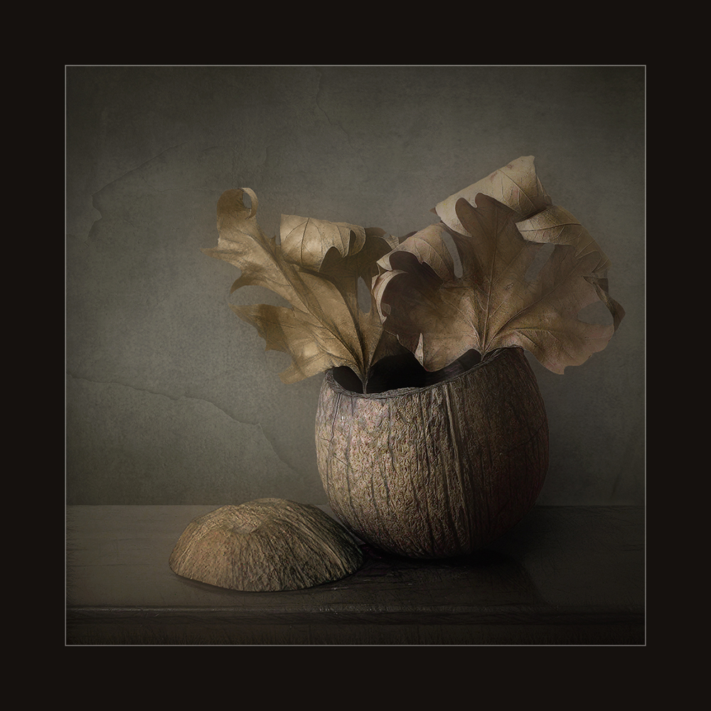 photo "***" tags: still life, digital art, 