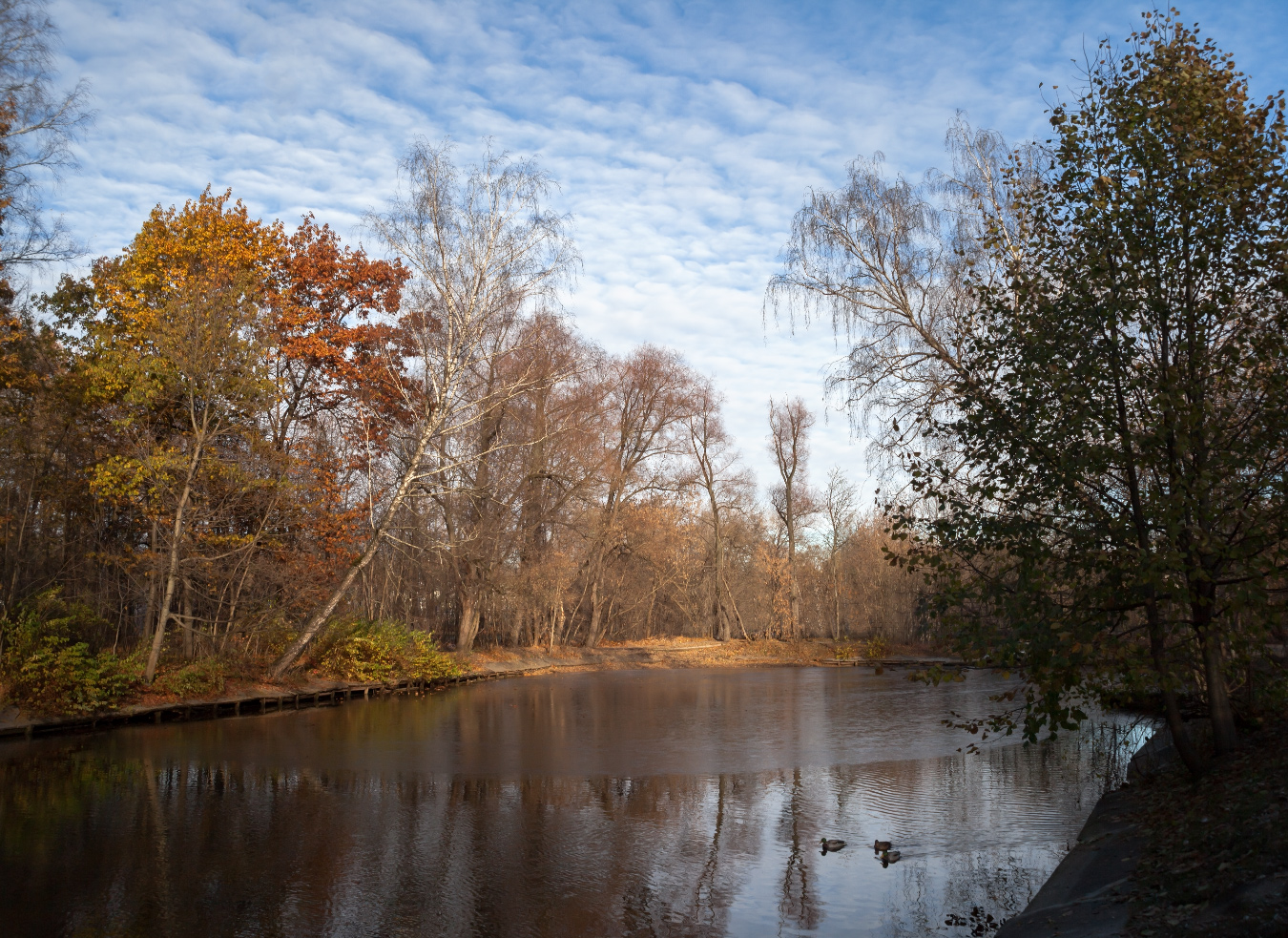 photo "***" tags: nature, landscape, 