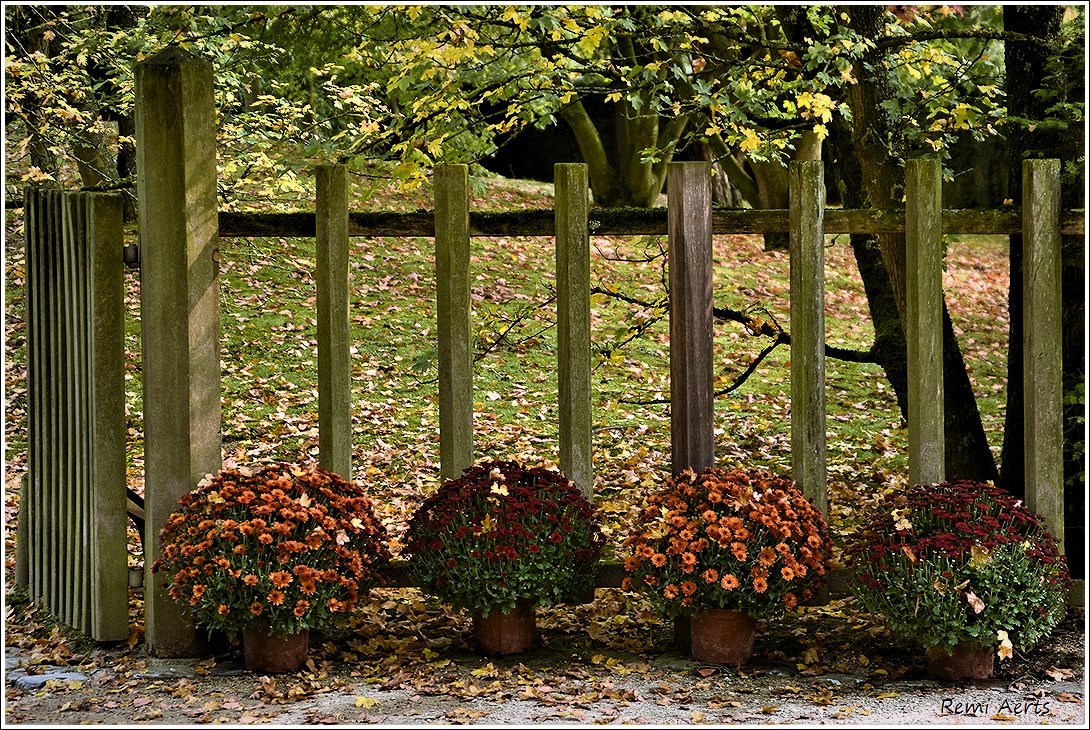 photo "***" tags: nature, still life, architecture, 