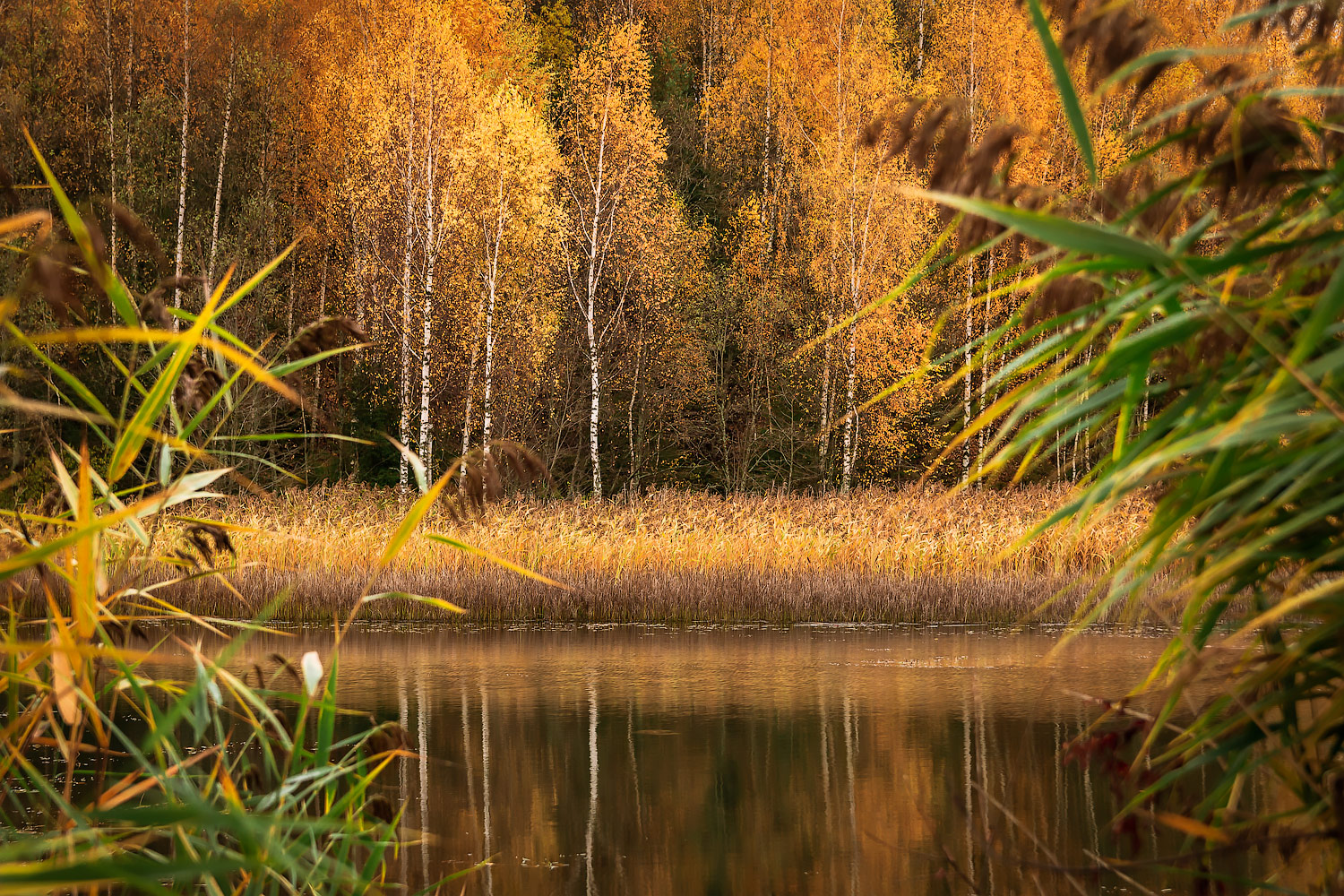 фото "***" метки: пейзаж, 