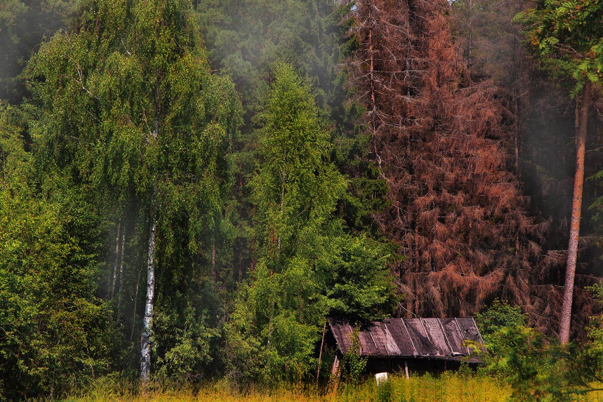 фото "***" метки: пейзаж, 