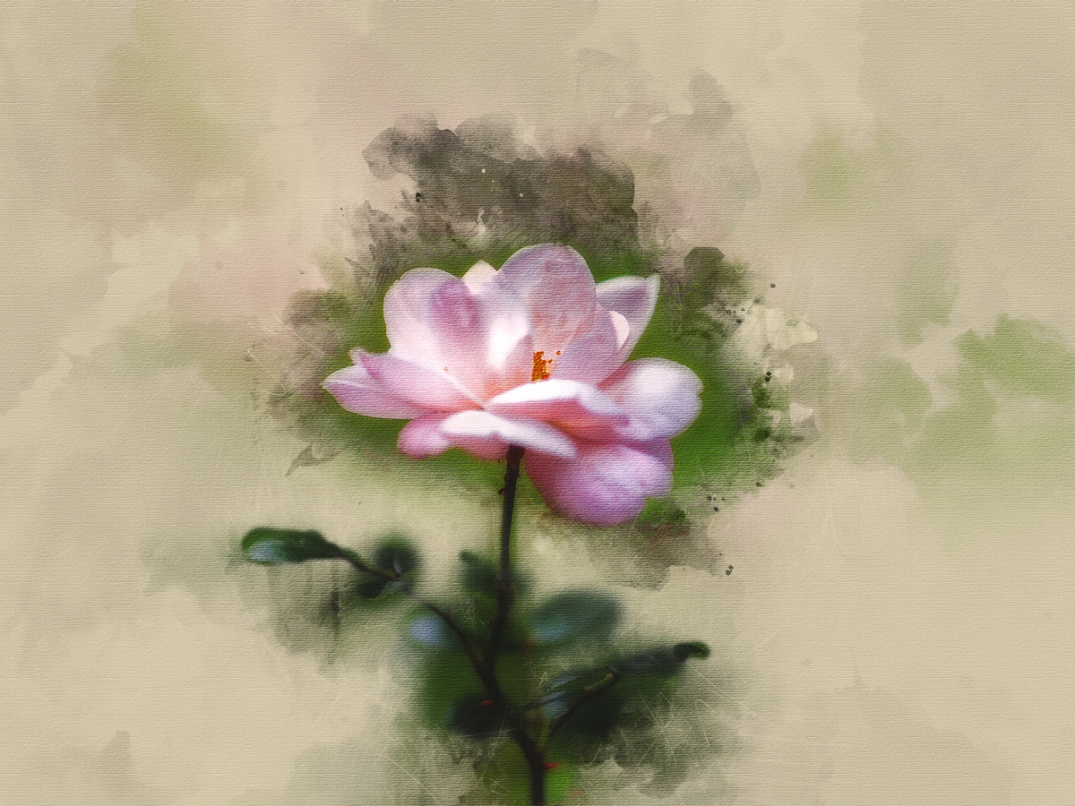 photo "***" tags: misc., 