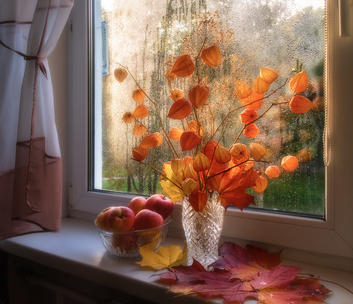 photo "***" tags: still life, rain, окно, октябрь