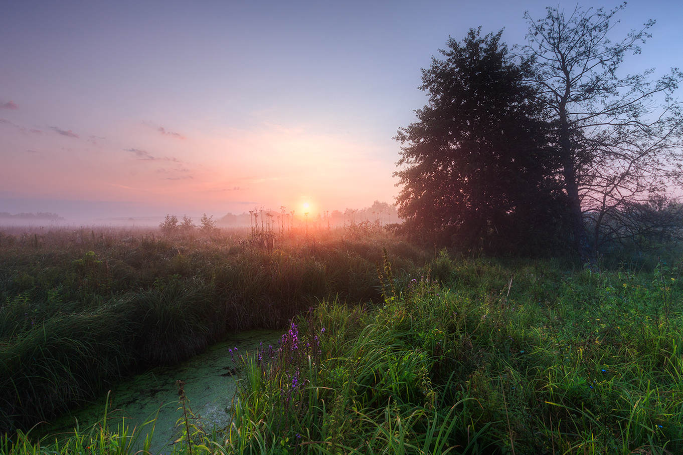 фото "***" метки: пейзаж, 