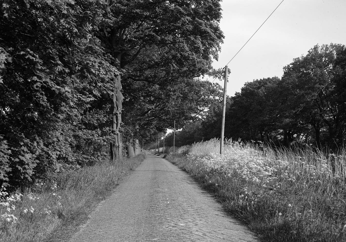 photo "border road" tags: landscape, 