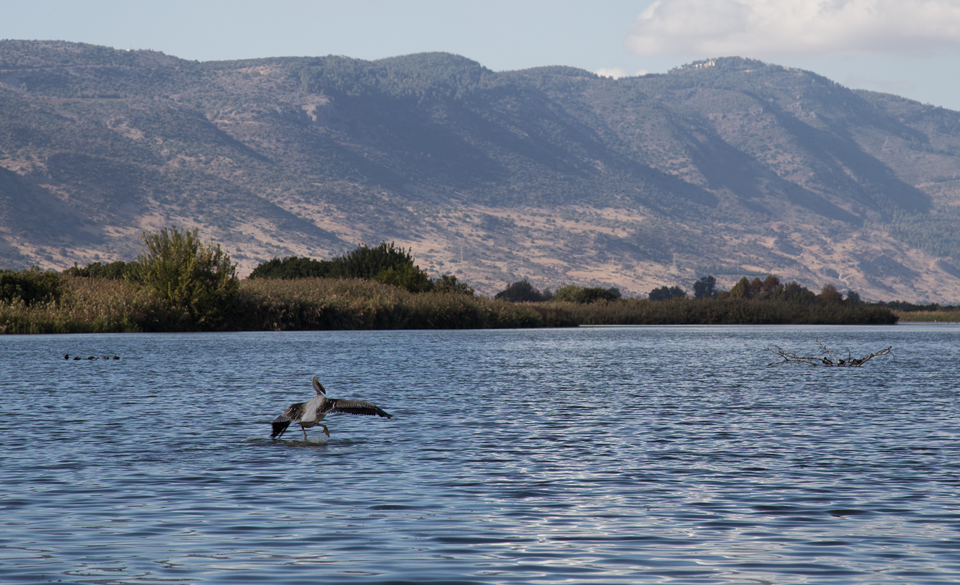 photo "***" tags: landscape, nature, 