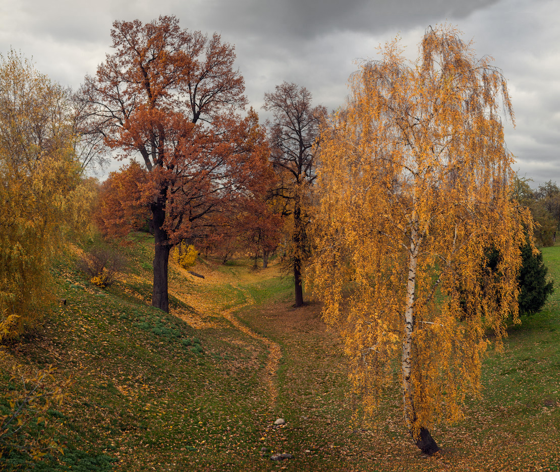 фото "Золотистый ручеек" метки: природа, пейзаж, 