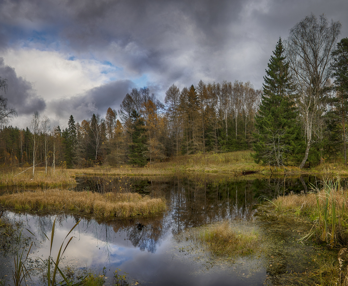 фото "Осенний фрагмент" метки: природа, пейзаж, 