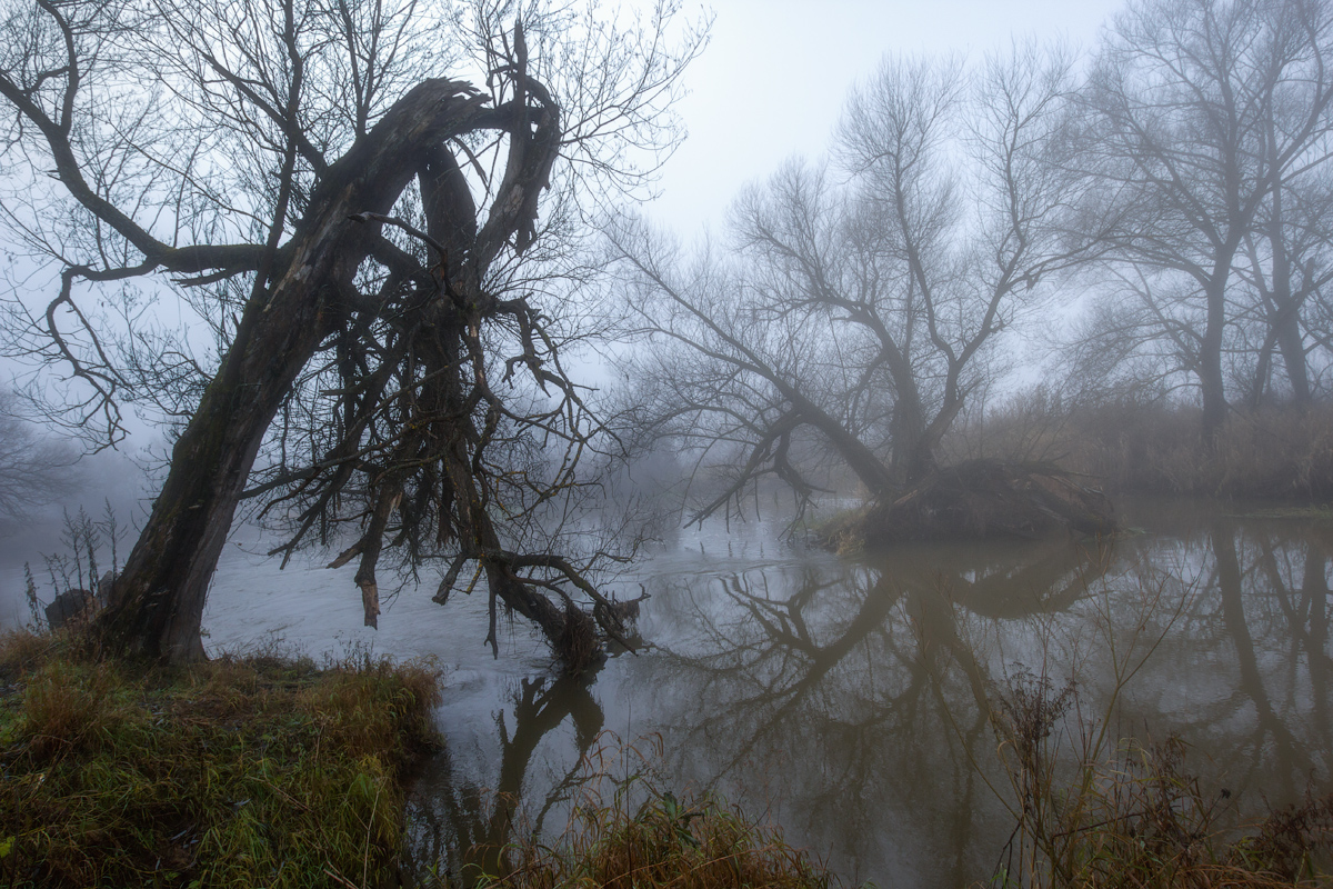 photo "***" tags: landscape, autumn, fog, Шерна