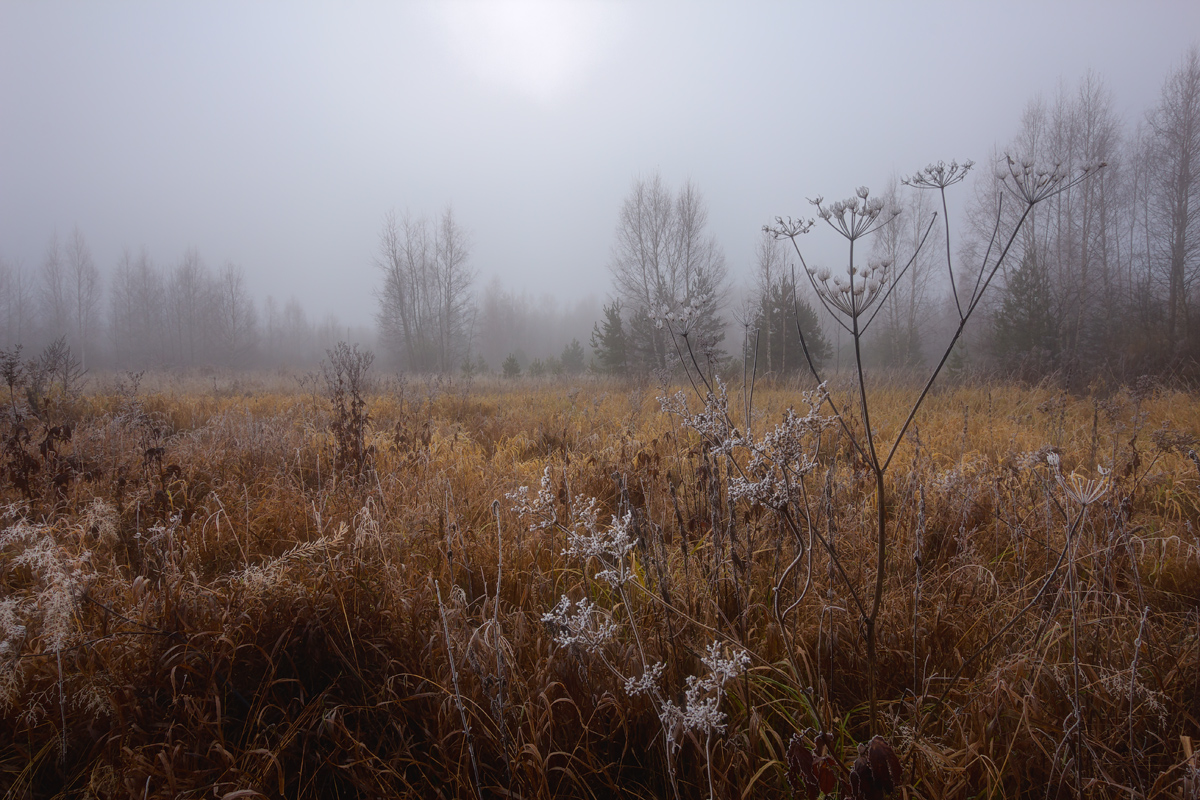 photo "***" tags: landscape, autumn