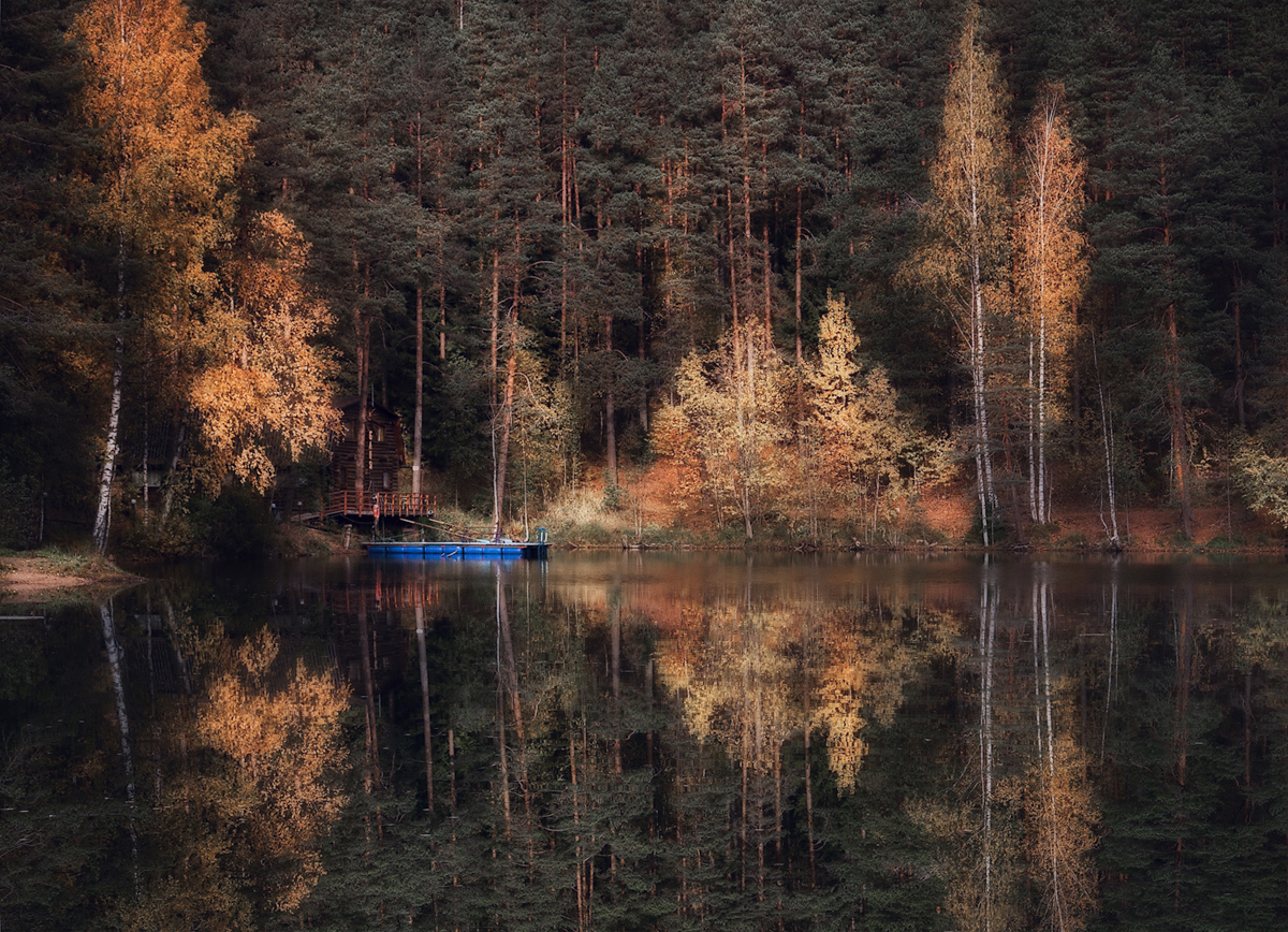 photo "***" tags: landscape, reflections, октябрь