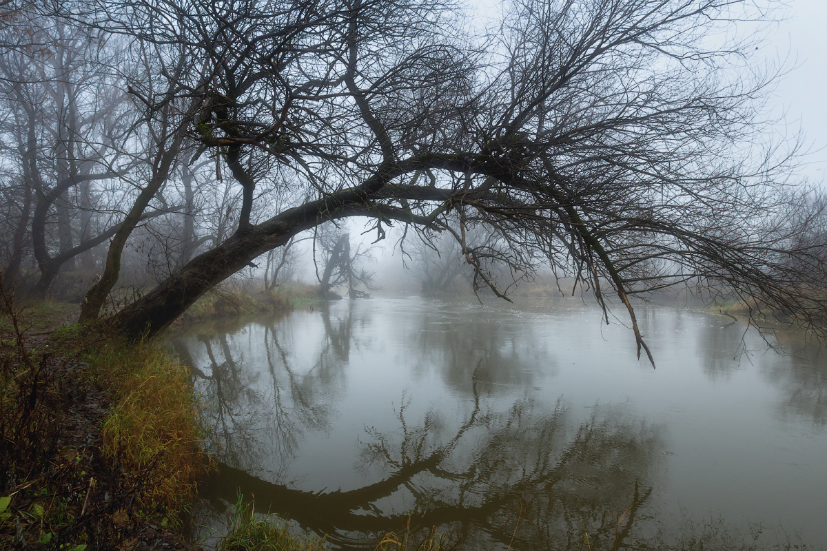фото "Леший уже бродил, а вот и место для Русалки...)" метки: пейзаж, одинокое дерево, осень, река, туман