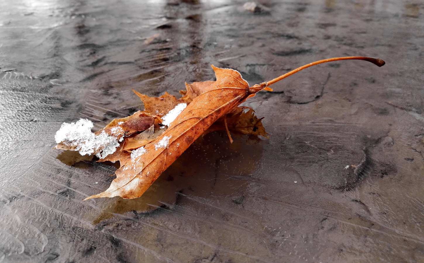 photo "***" tags: still life, 