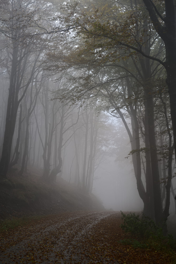photo "***" tags: landscape, 
