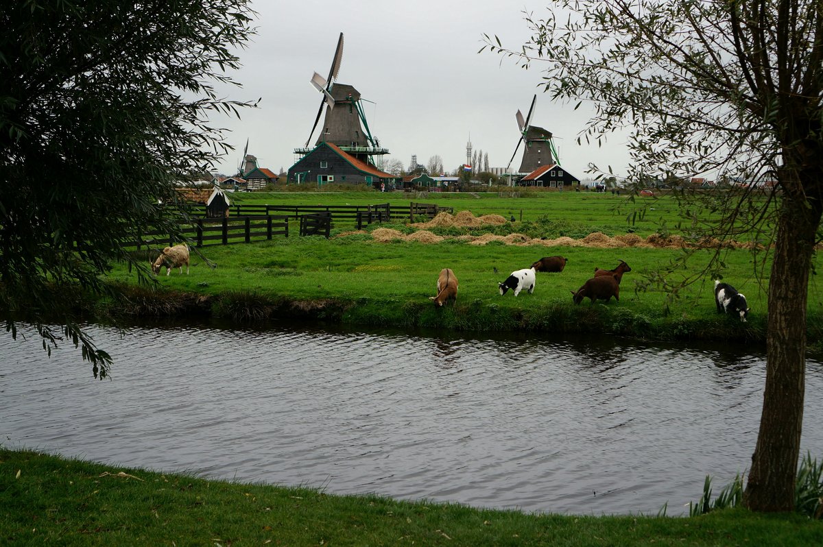 photo "***" tags: landscape, travel, nature, 