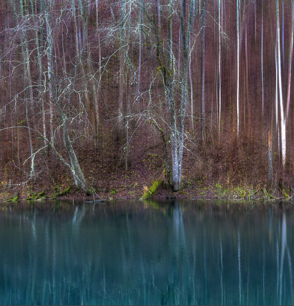 photo "***" tags: landscape, nature, lake, Лопухинка, деревья, ноябрь, отражение