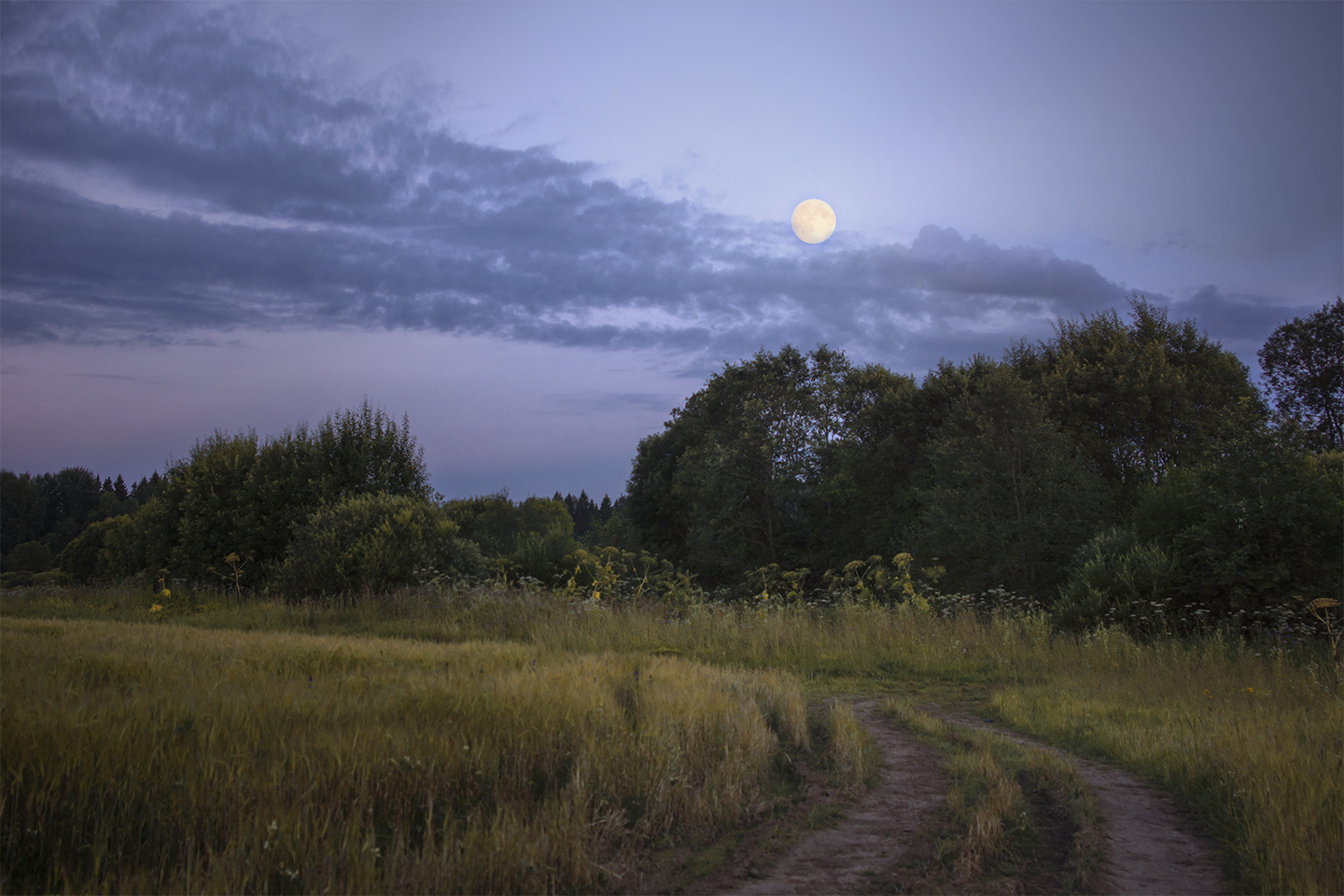 фото "лунные сумерки" метки: пейзаж, вечер, полнолуние, ржаное поле, сумерки