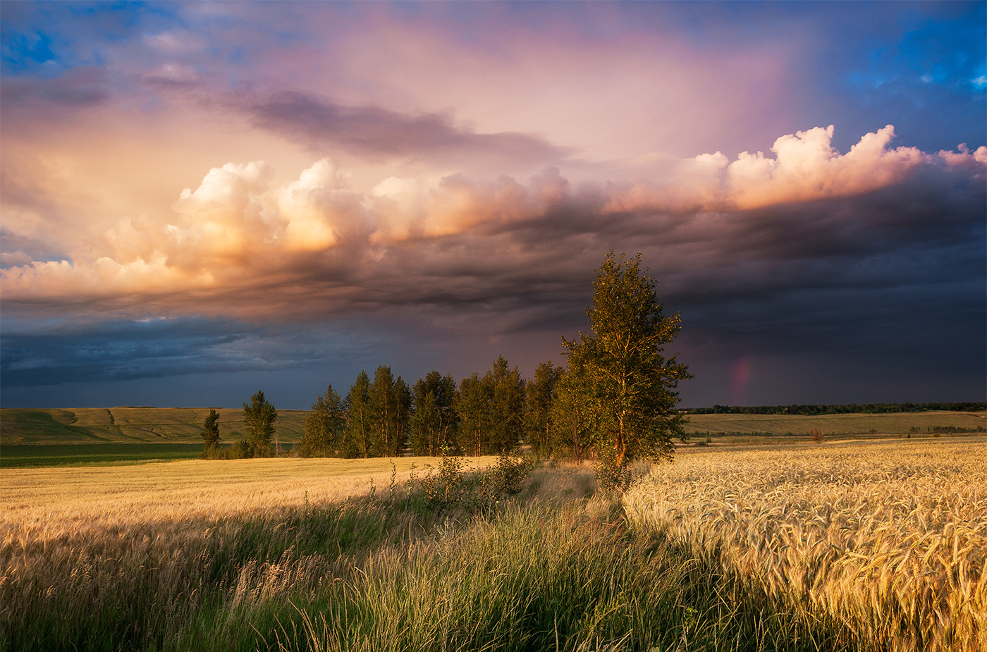 photo "***" tags: landscape, clouds, evening, field, summer, sunset, вечерний свет
