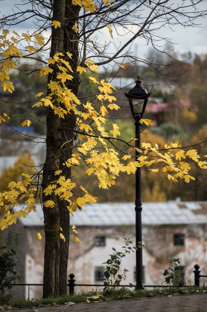 photo "***" tags: landscape, nature, city, 