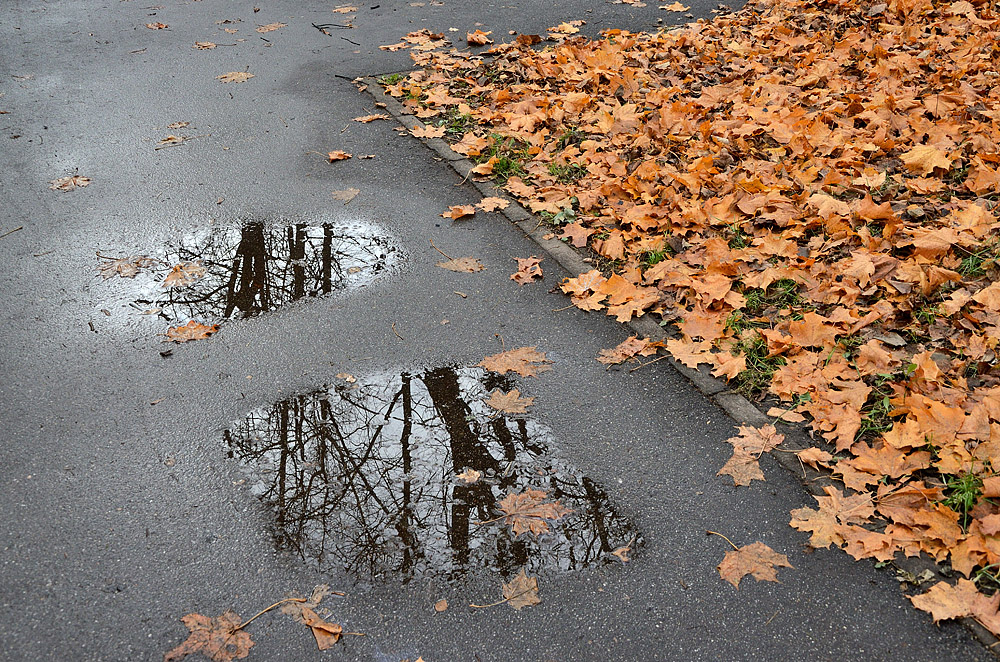 фото "***" метки: разное, 