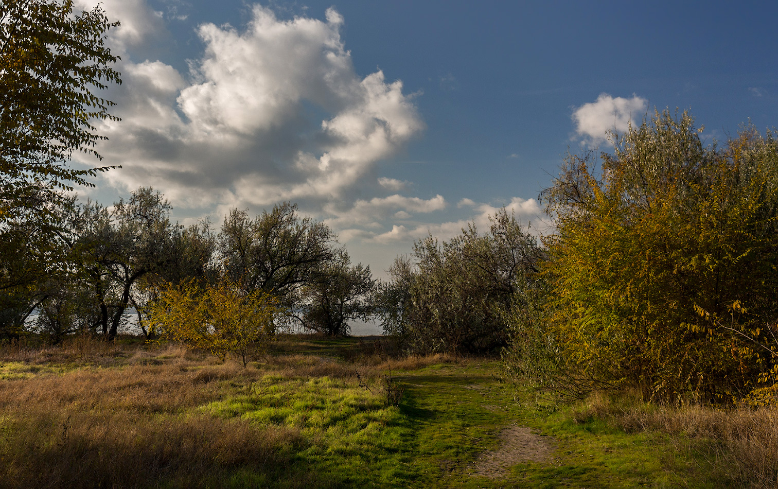 фото "Небо и трава" метки: пейзаж, 