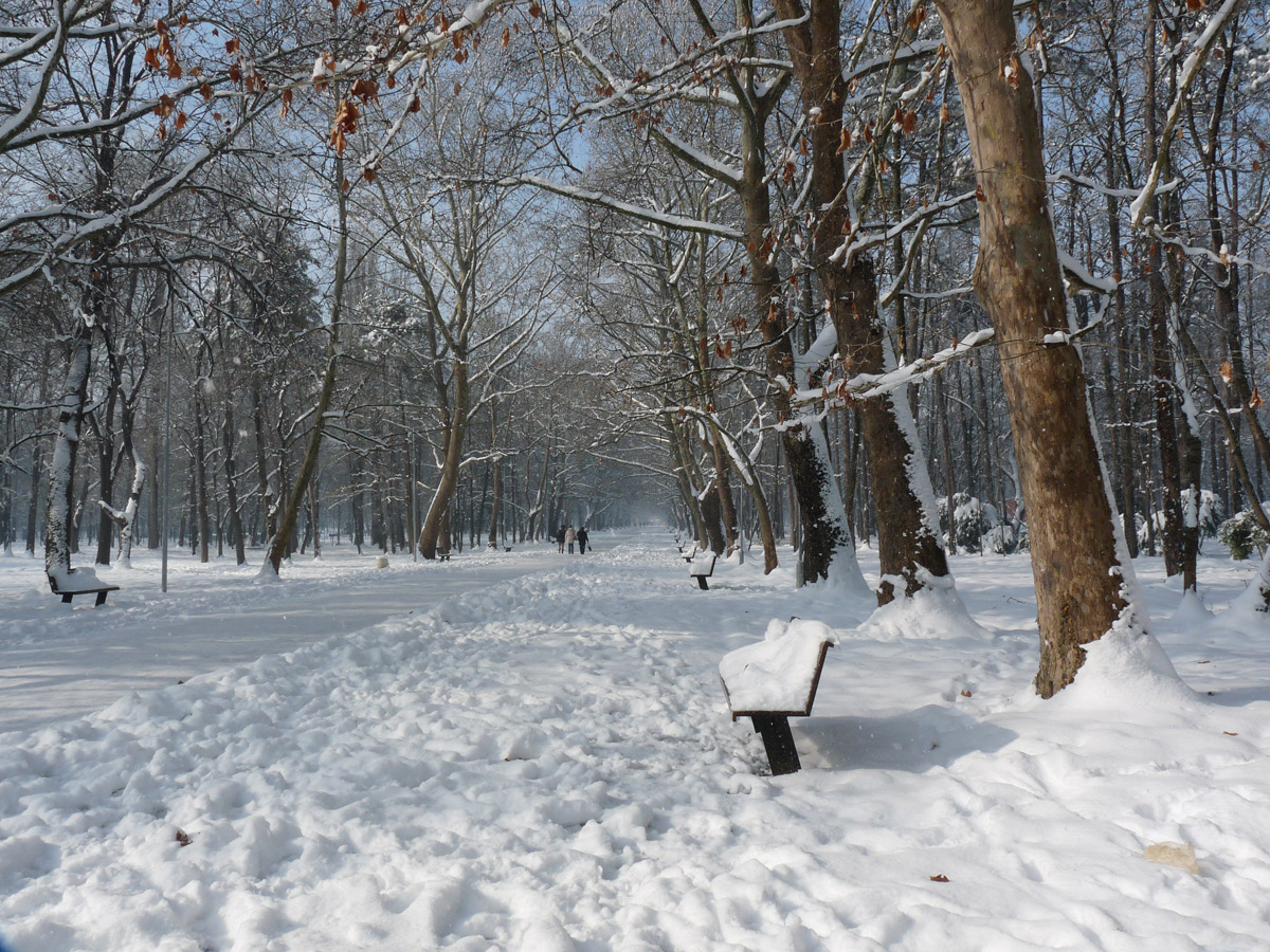 photo "***" tags: nature, street, winter