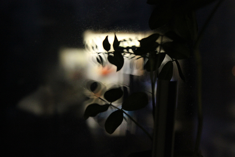 photo "The nature of the abstract" tags: still life, flowers, night, арт, в доме, игра света, окно, силуэт, творчество, текстура