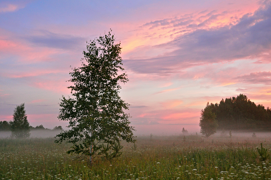 photo "***" tags: landscape, summer, sunset