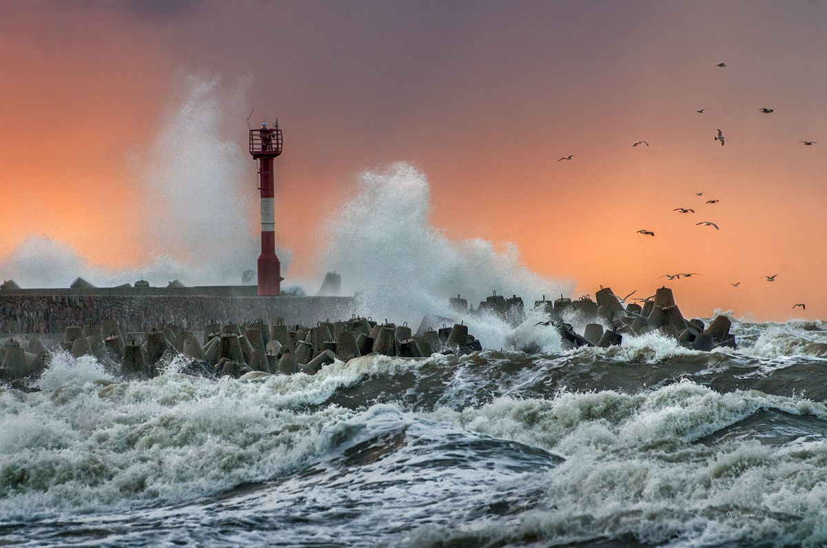 фото "На Балтике - шторм" метки: пейзаж, природа, разное, Балтийск, Балтика, Калининградская область, ветер, море, шторм