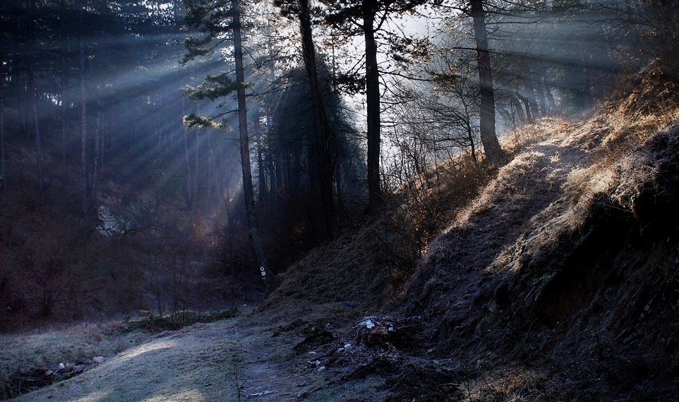 фото "***" метки: природа, 