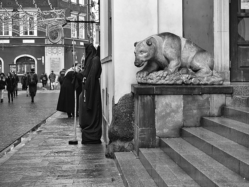 фото "Заколдованный принц" метки: черно-белые, 