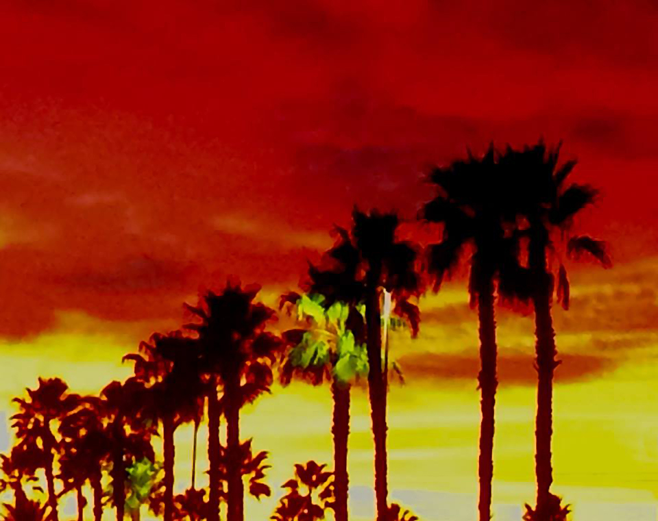 photo "***" tags: nature, abstract, SoCal, california, clouds, fire, iPhone, palm trees, sky, sunset, trees