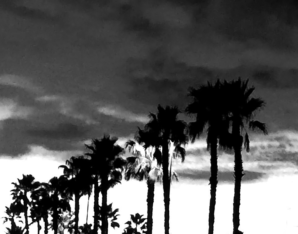 photo "B&W Version" tags: black&white, abstract, landscape, clouds, iPhone, sky, sunset