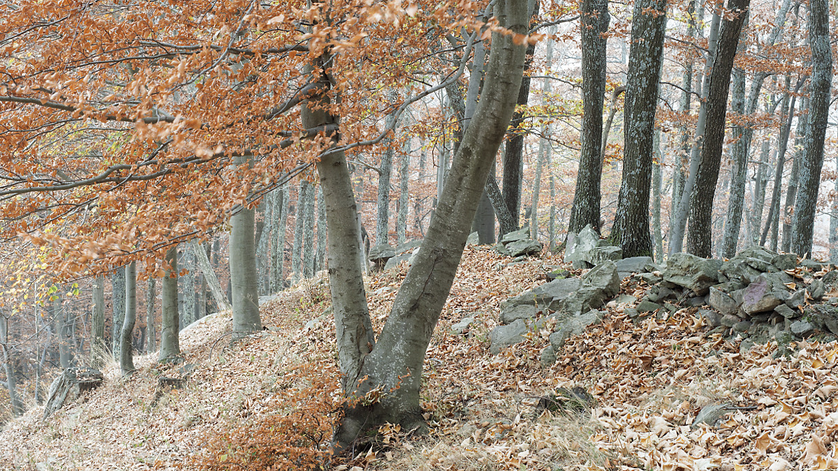 фото "***" метки: пейзаж, 