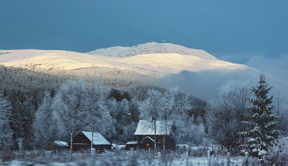 photo "***" tags: , Europe, winter