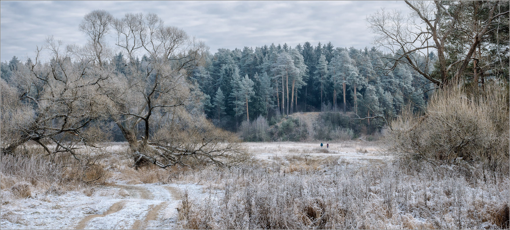 фото "ноябрь закончился..." метки: пейзаж, природа, панорама, 