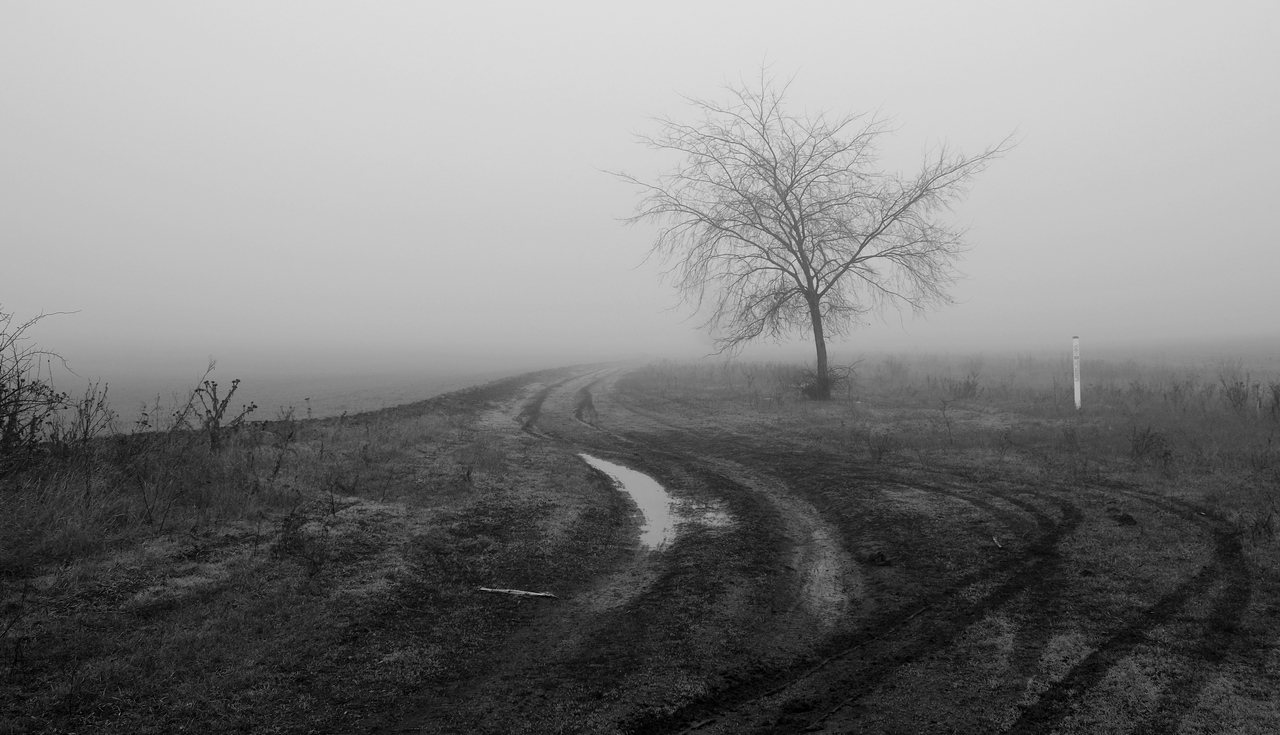 photo "***" tags: landscape, nature, black&white, 