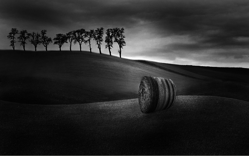 photo "*  *  *" tags: landscape, nature, Black/White, Europe, field, germany