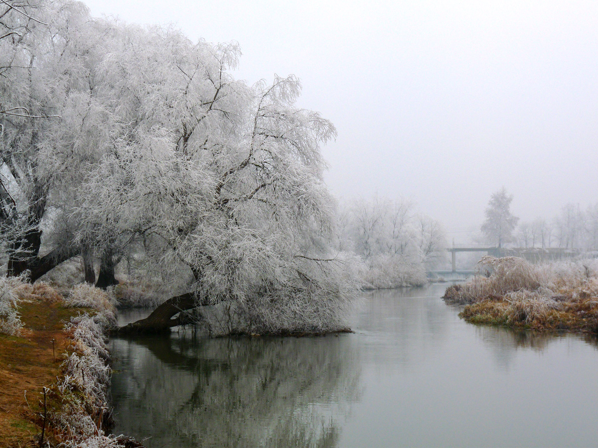 photo "***" tags: landscape, winter