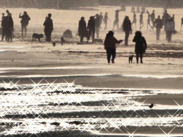 photo "Paseo" tags: landscape, city, 