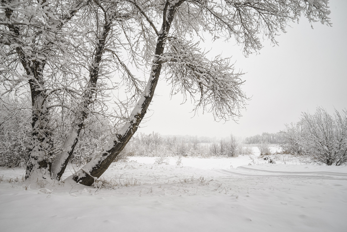 фото "Зарисовка." метки: пейзаж, 